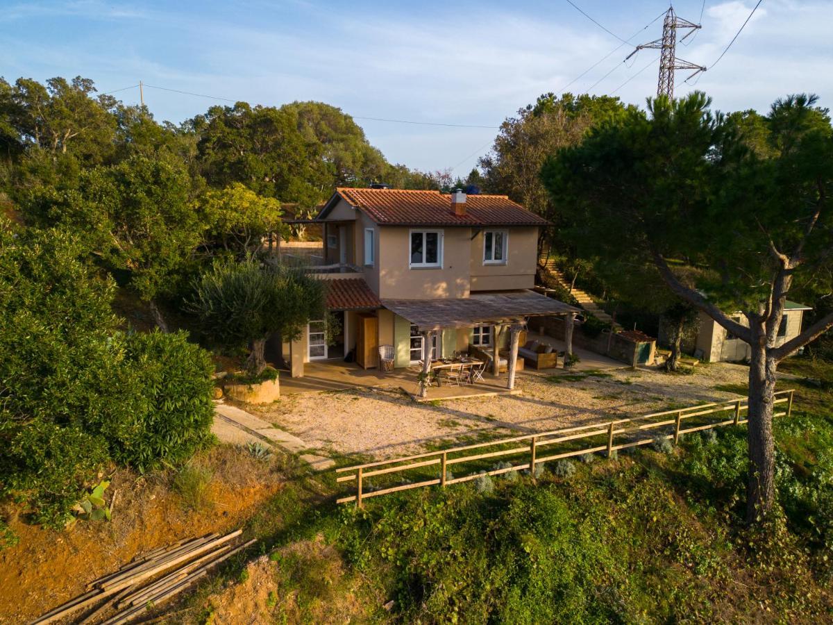 Villa Elicriso Charme E Nature-Goelba Portoferraio Eksteriør billede