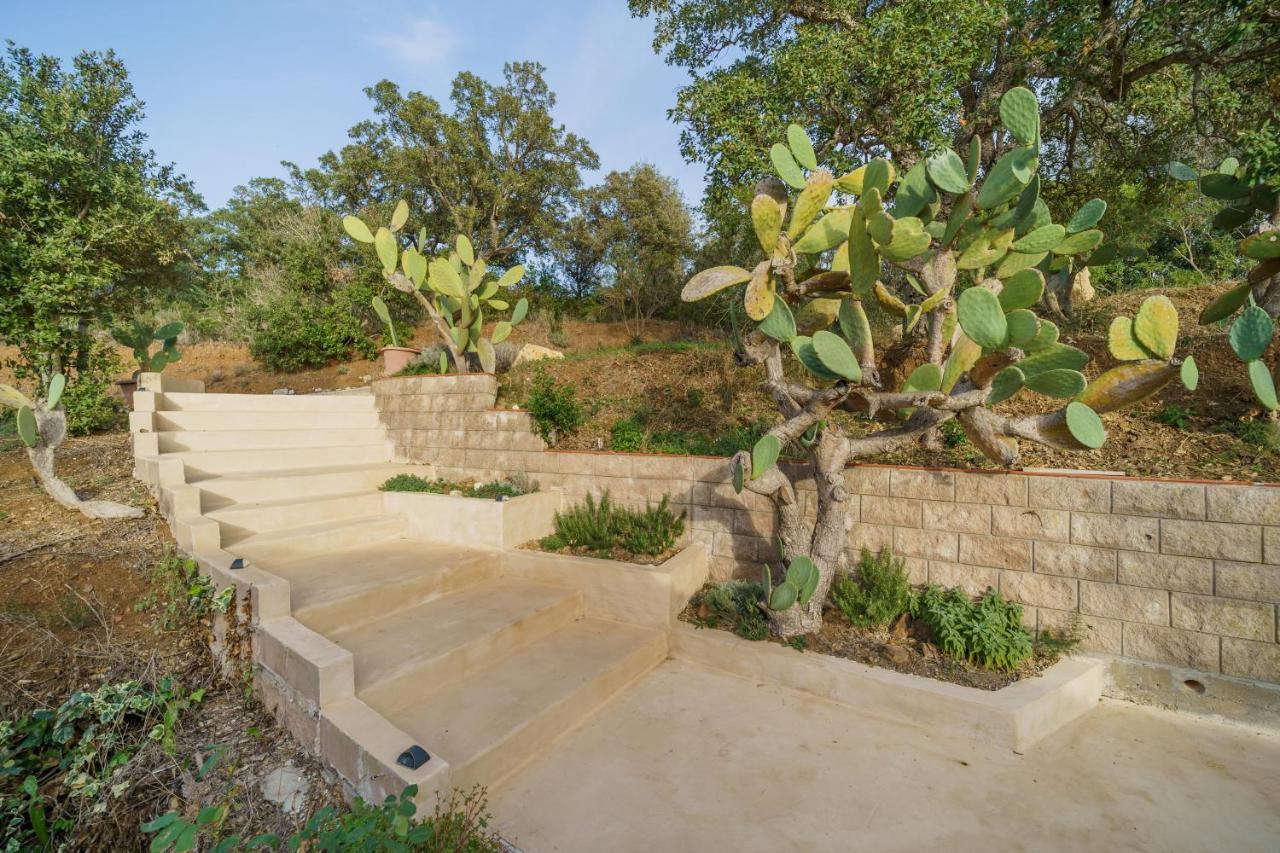 Villa Elicriso Charme E Nature-Goelba Portoferraio Eksteriør billede