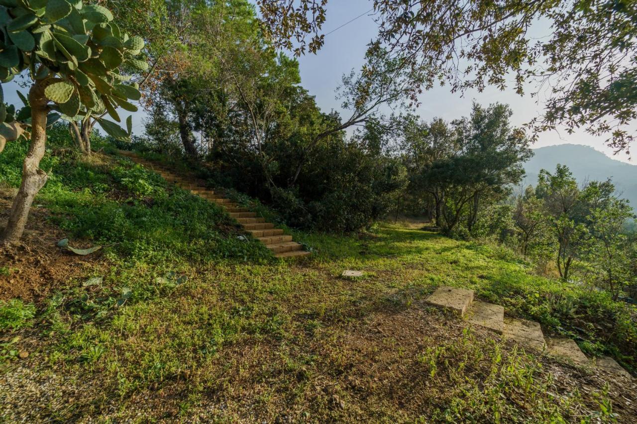 Villa Elicriso Charme E Nature-Goelba Portoferraio Eksteriør billede